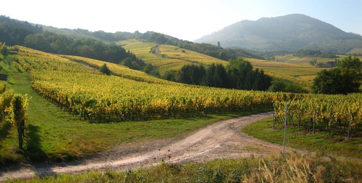 Domaine Wassler Parking Camping Cars — photo 2
